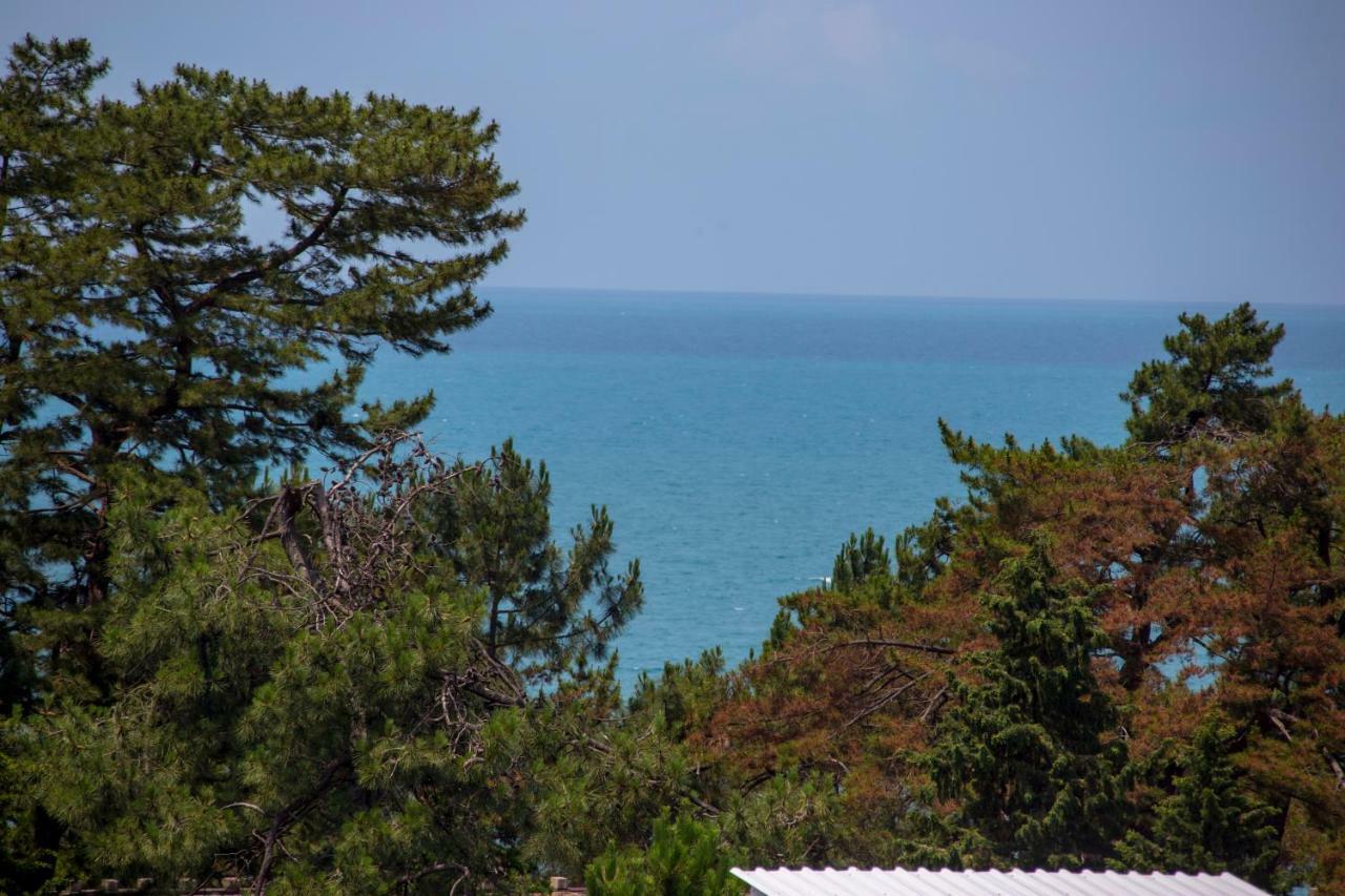 Chveni Ezo Boutique Hotel Kobuleti Ngoại thất bức ảnh